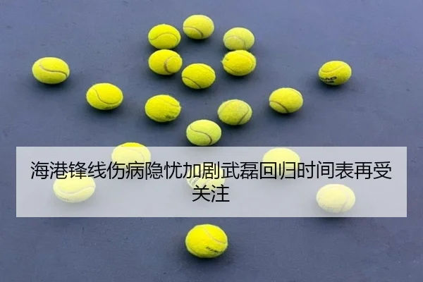 海港锋线伤病隐忧加剧武磊回归时间表再受关注